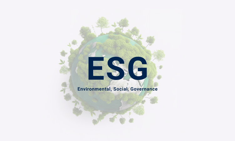 ESG Beratung b-k-p Consulting